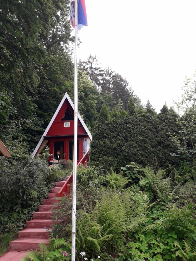 Ferienhaus Sommerland Auszeithuette Freyung Extérieur photo