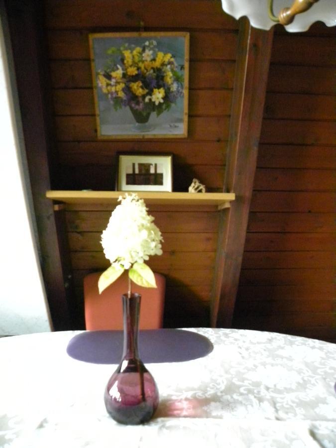 Ferienhaus Sommerland Auszeithuette Freyung Extérieur photo